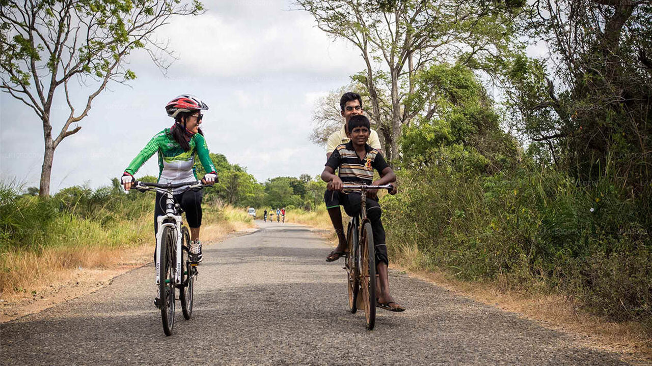 Cycling Tour from Arugambay to Habarana (5 Days)
