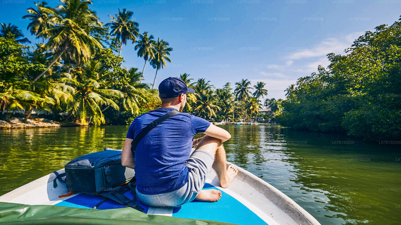 Mangrove Forest Boat Tour from Kalpitiya City