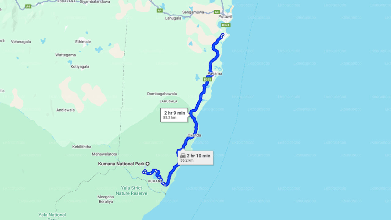 Kumana National Park Safari from Arugam Bay City