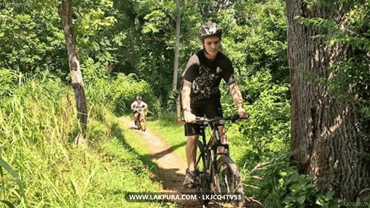 Discover Ella by Bicycle from Ella City