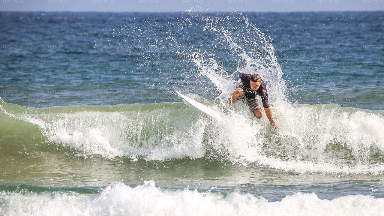 Surfing from Arugam Bay City