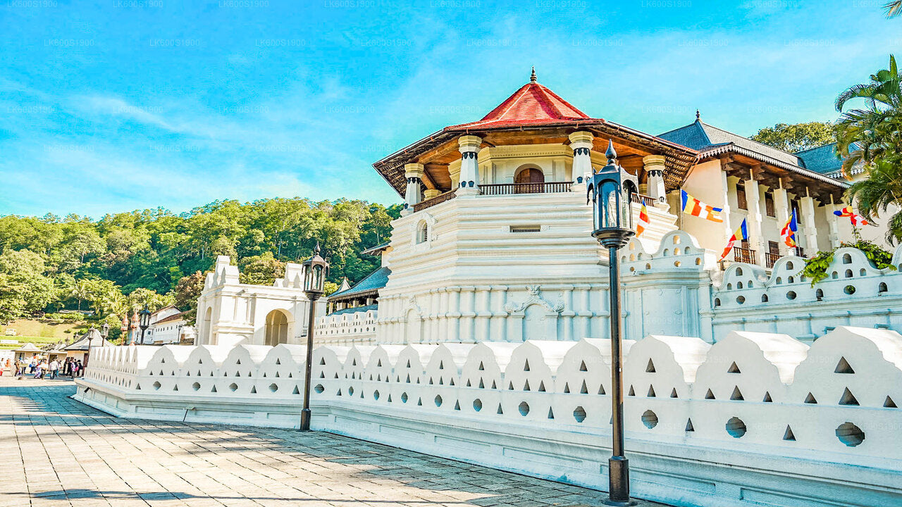Kandy City Tour from Habarana City