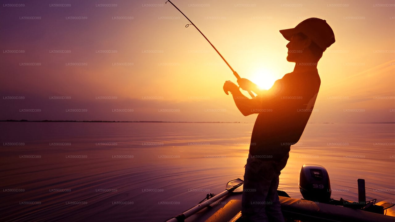 Deep Sea Fishing from Mirissa