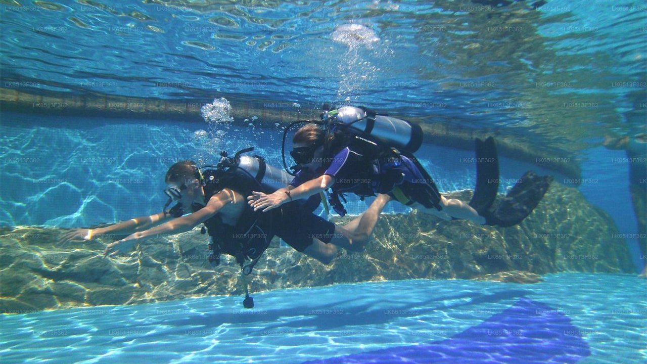 Discover Scuba Diving from Bentota City