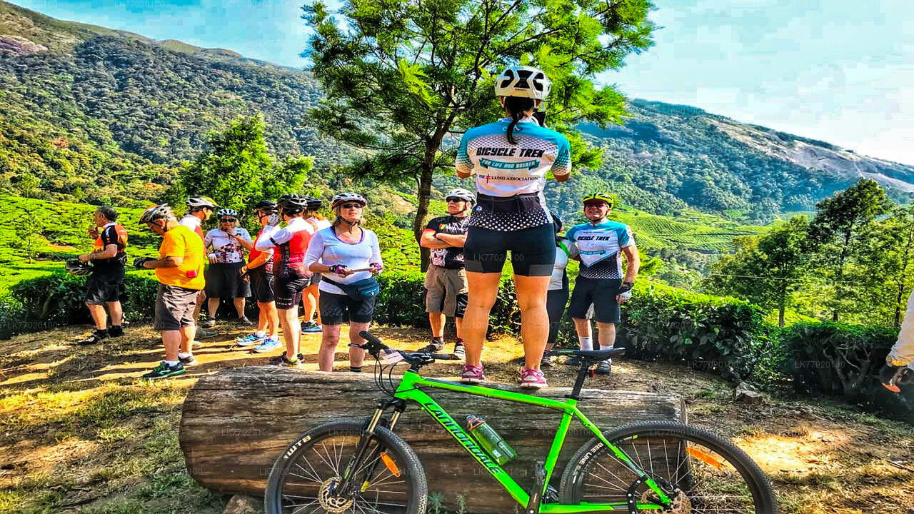 Tea Fields by Bicycle from Kandy City