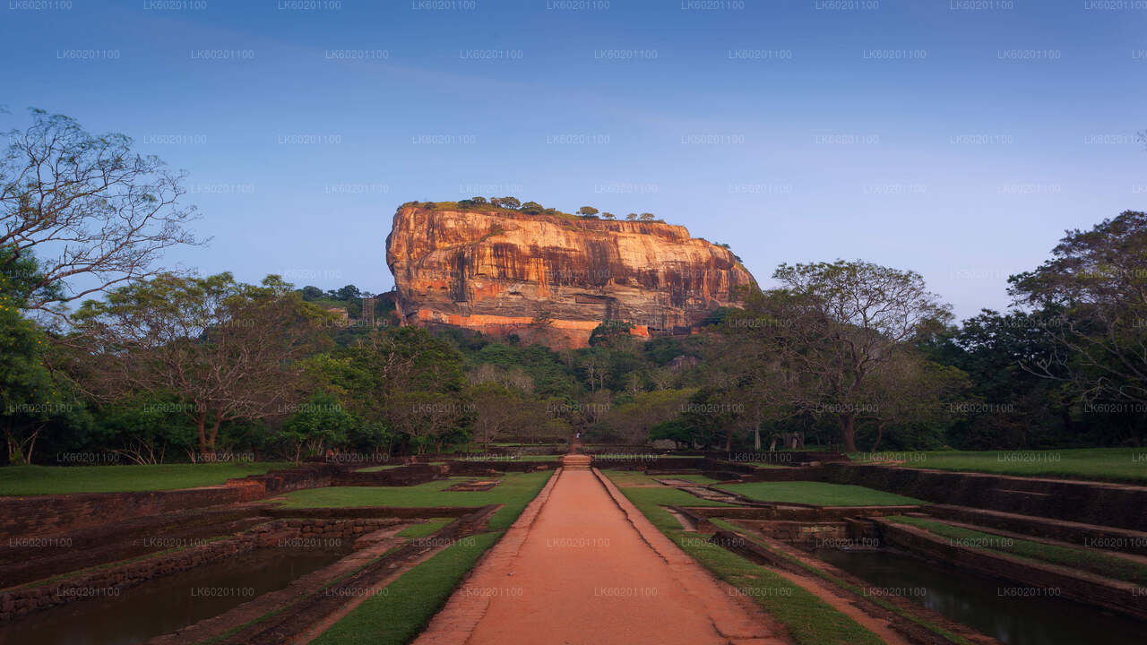 Sigiriya Rock og Dambulla Cave fra Sigiriya City