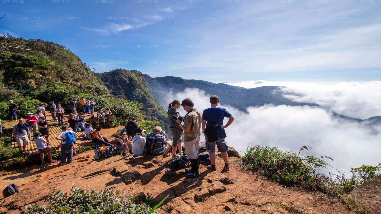 Hike to Horton Plains Border via Rail Tracks from Pattipola City