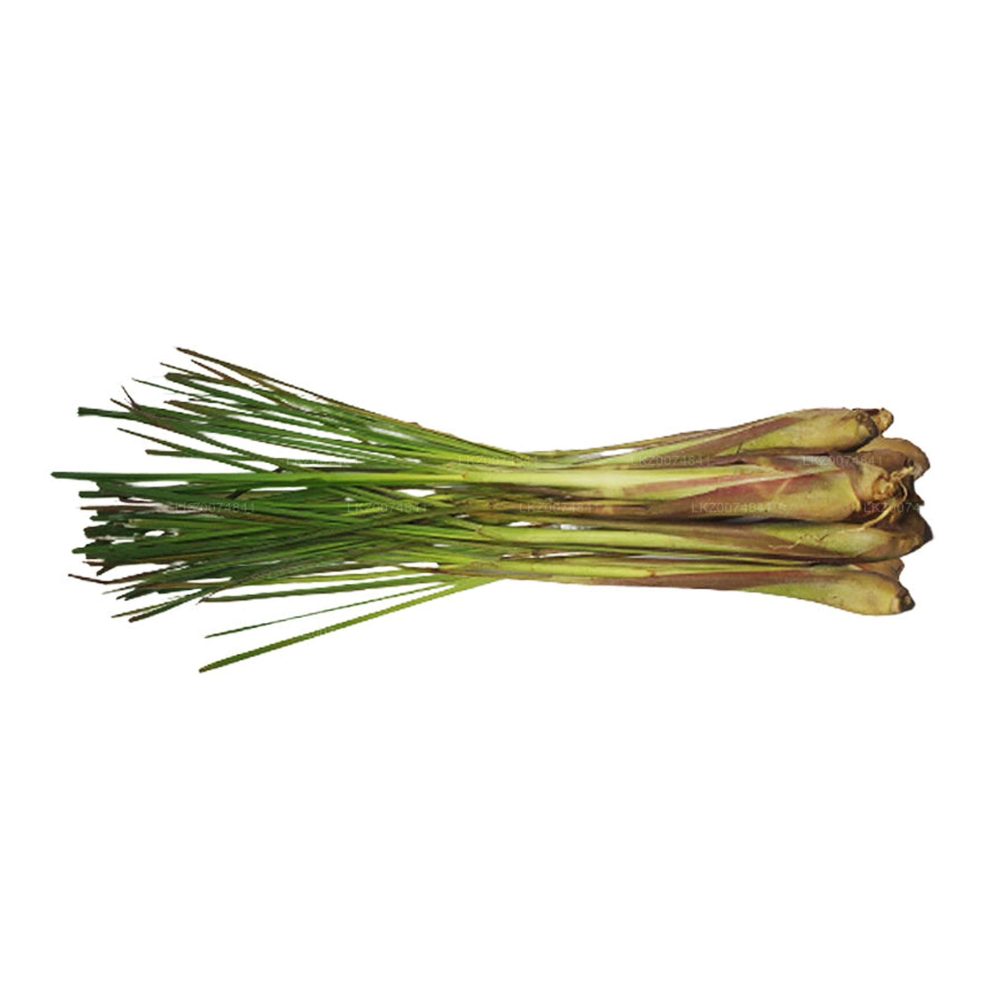 Lakpura® Fresh Lemongrass