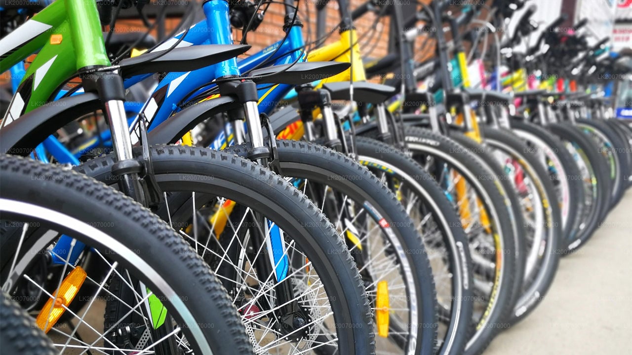 Mountain Bike Rental from Kandy City