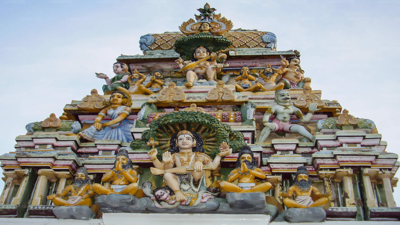 Trincomalee City Tour from Habarana City