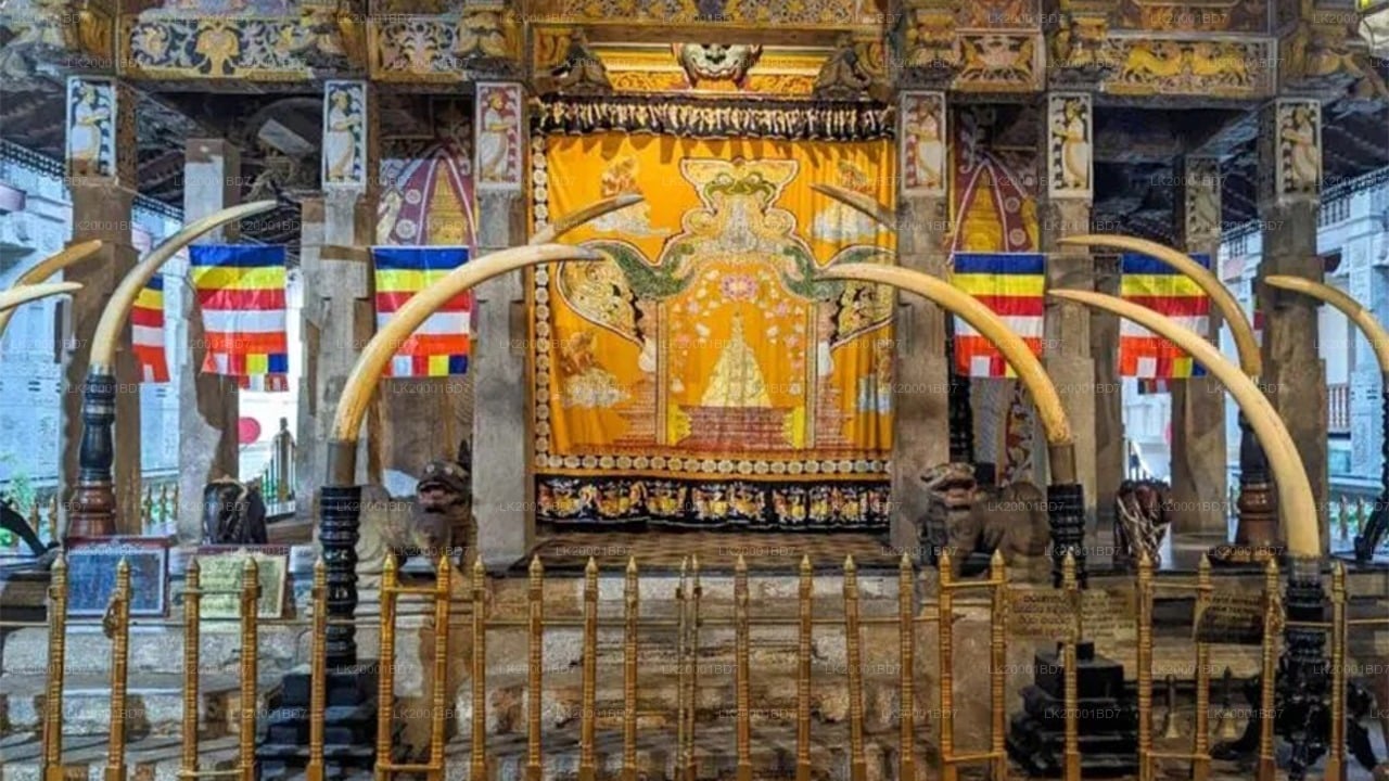 Temple of The Sacred Tooth Relic Guided Tour