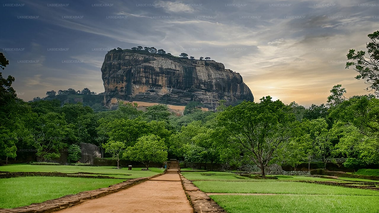 Sigiriya Village Tour and Lunch