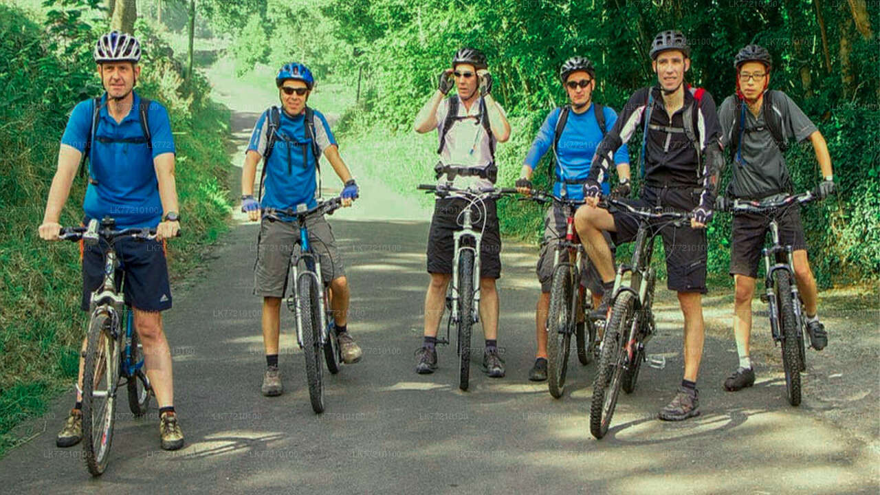 Cycling Tour from Hatton City