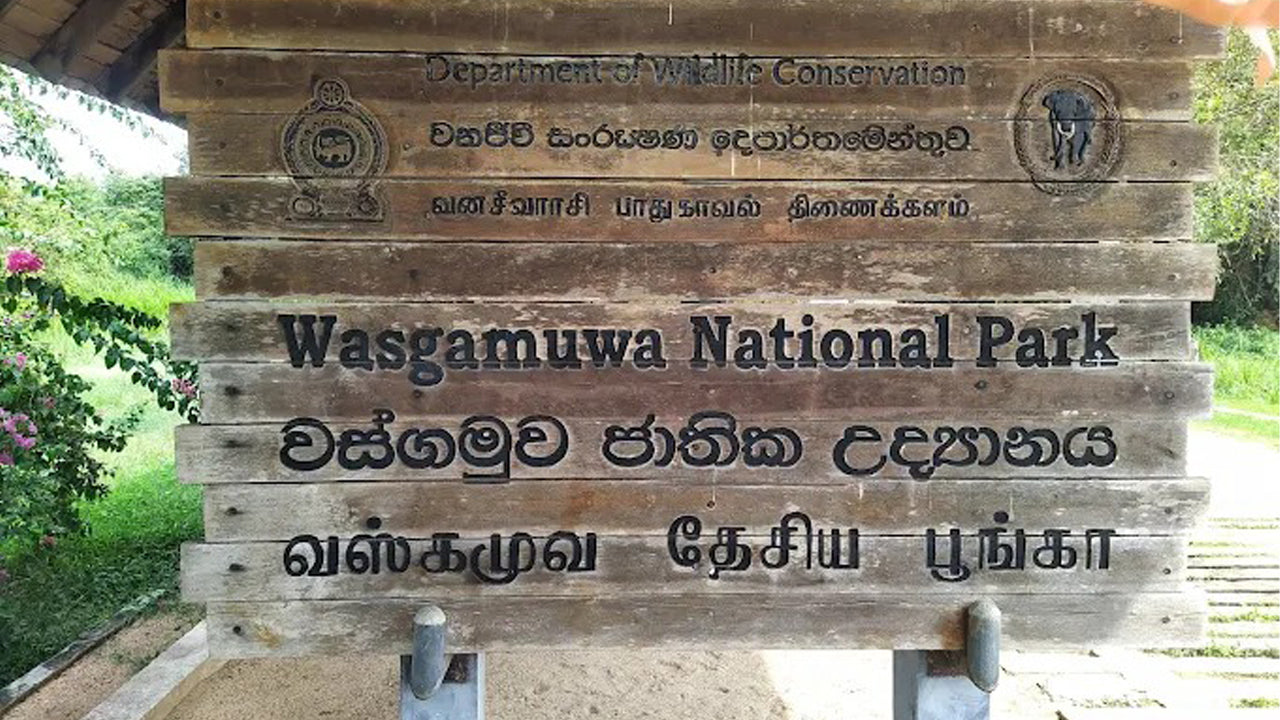 Wasgamuwa National Park Private Safari