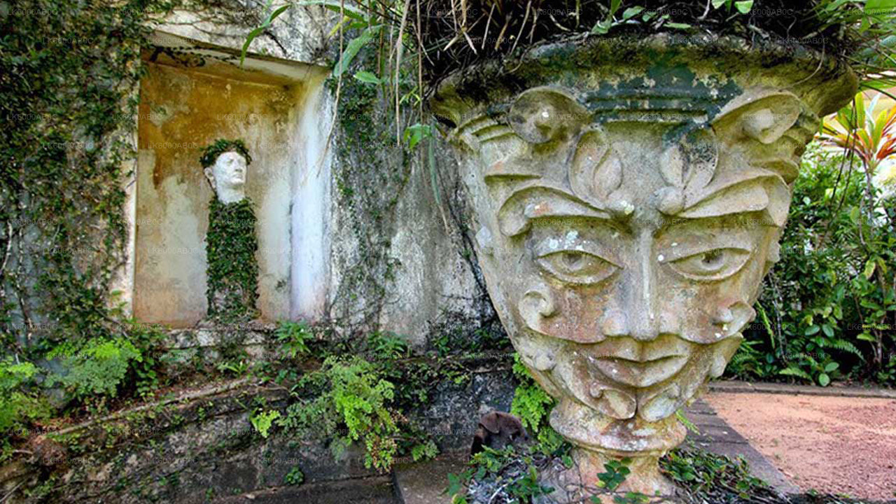 Brief Garden Tour and Lunch from Colombo City