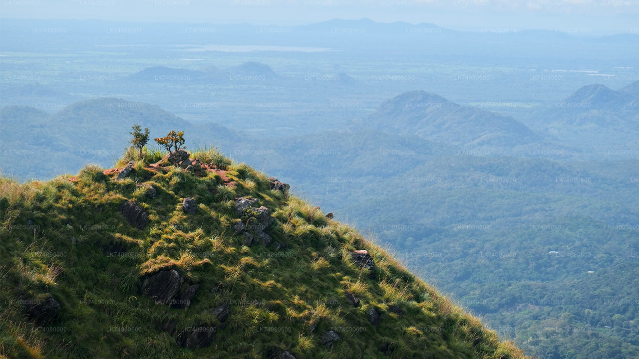 Hiking Tour to Ella Three Icons from Ella City