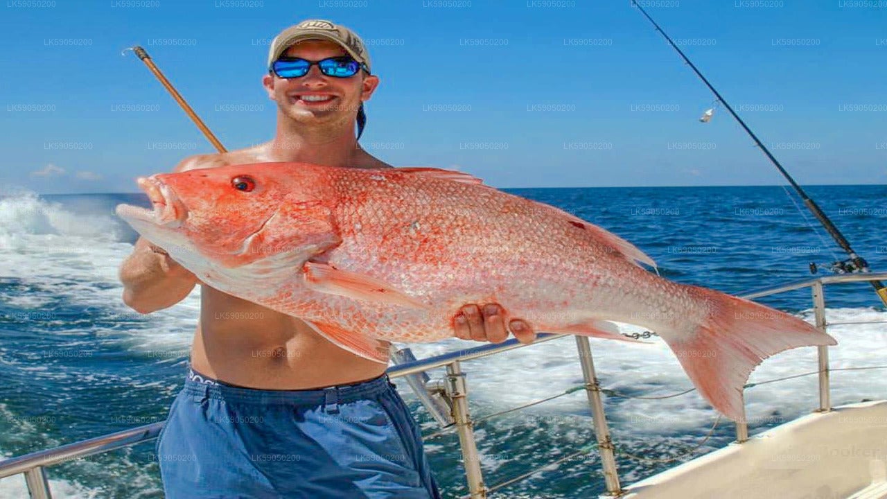 Deep Sea Fishing from Negombo