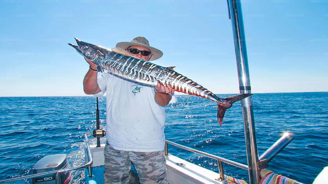 Sport Fishing from Negombo City
