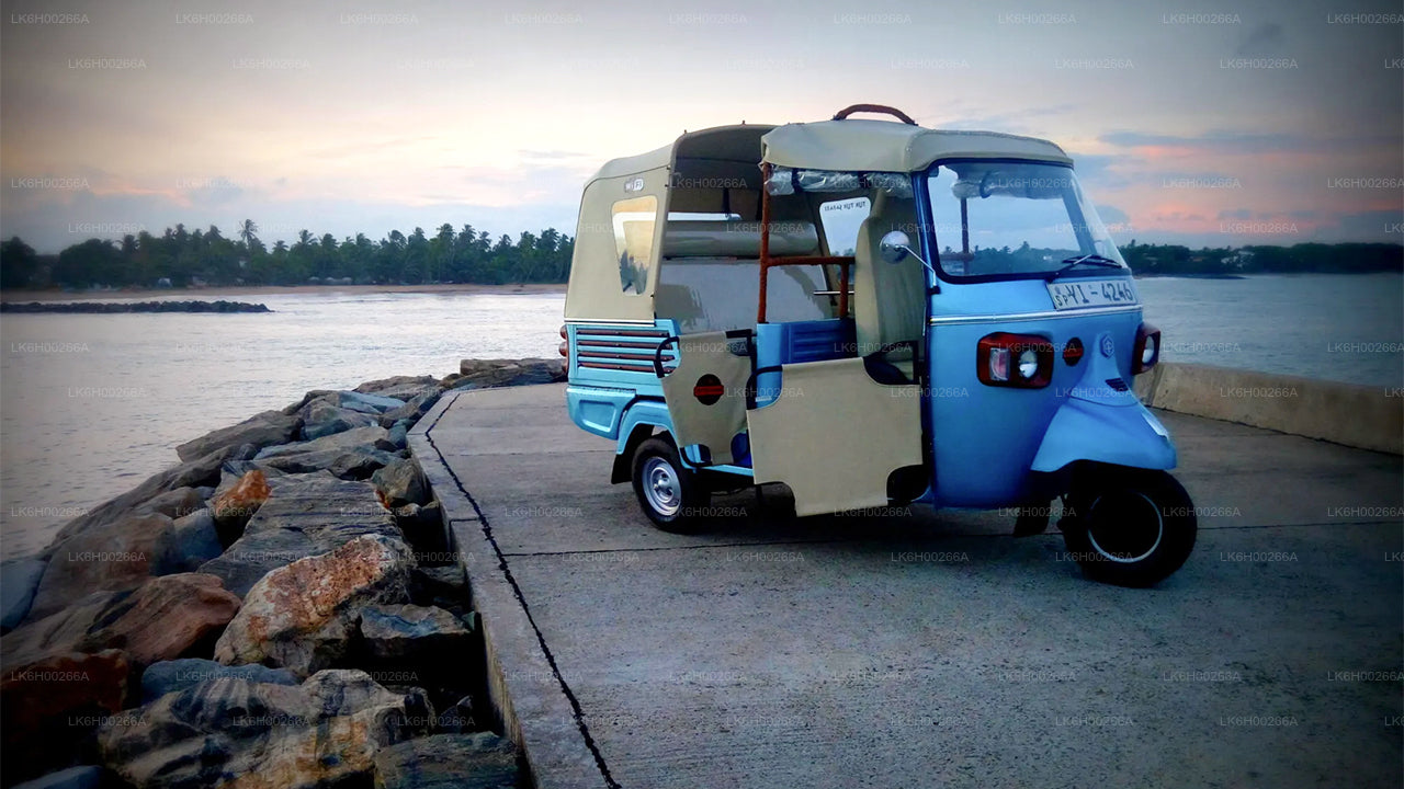 South Coast Tuk Tuk Safari from Galle City