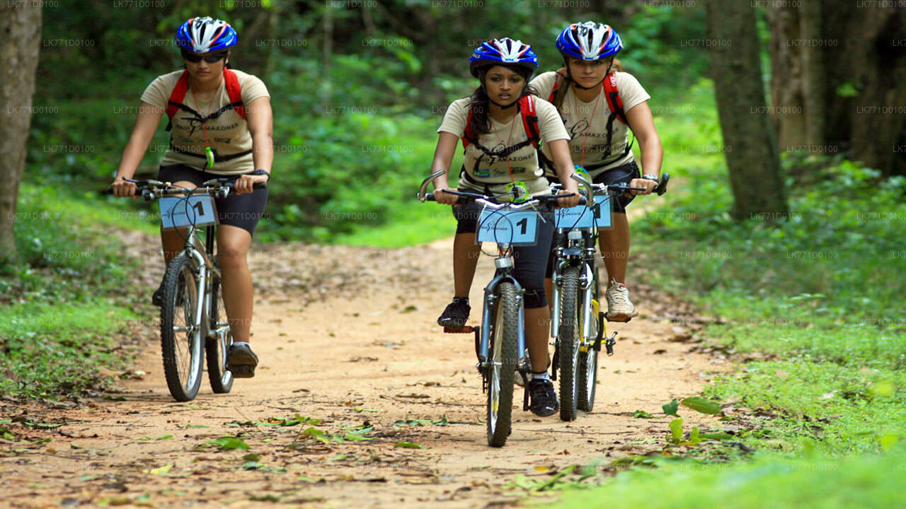 Cycling from Kitulgala City