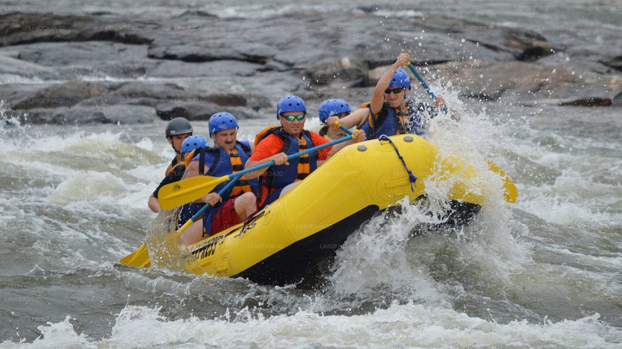 Nuwara Eliya City to Colombo City Private Transfer with Rafting Adventure
