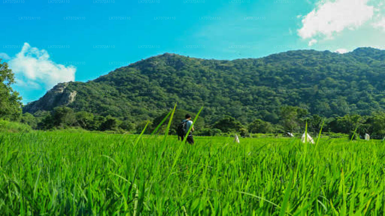 Camping from Kurunegala City