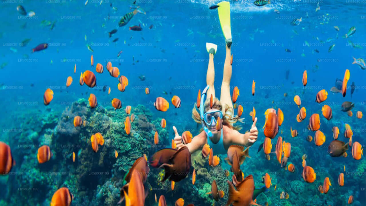 Snorkeling da Bentota City