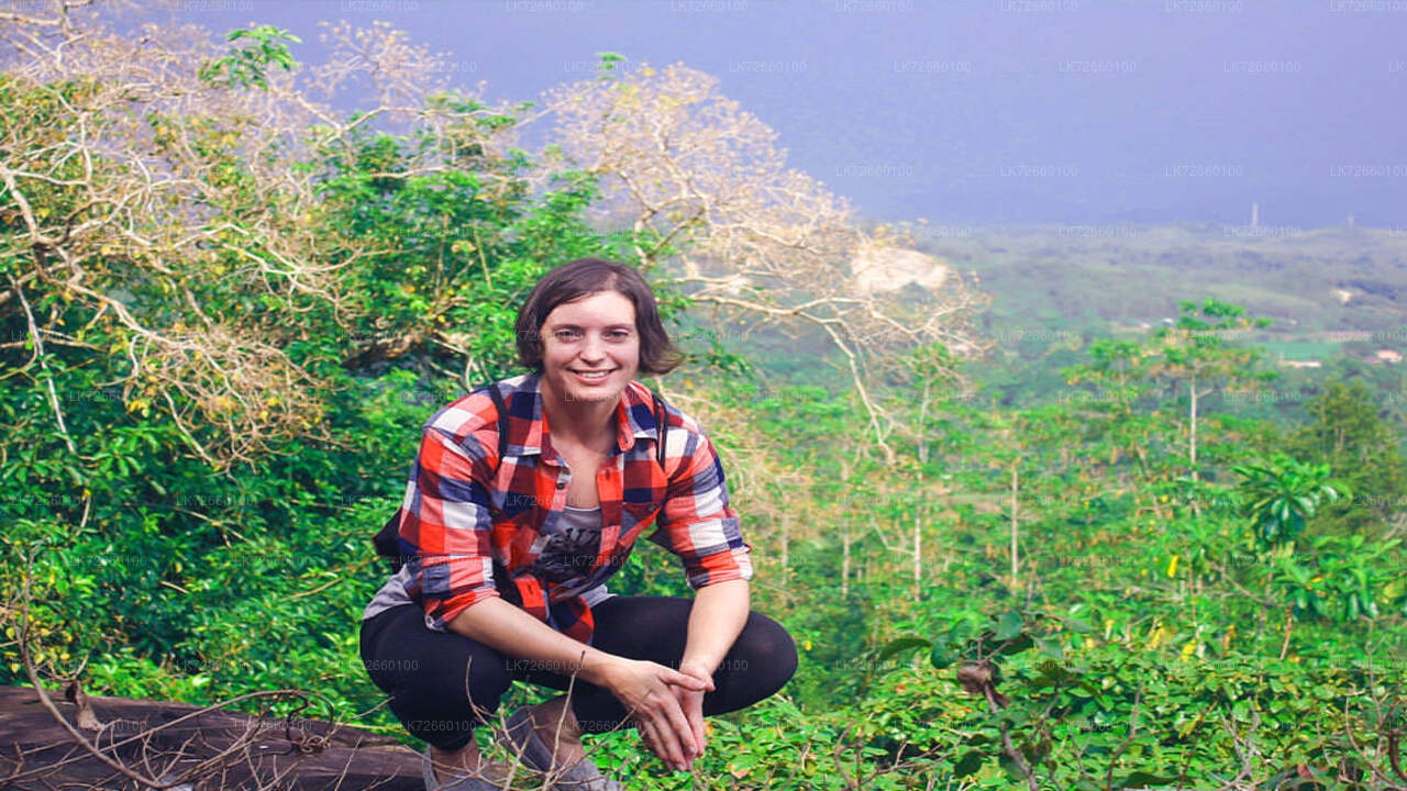 Forest Rock Climbing from Mount Lavinia City