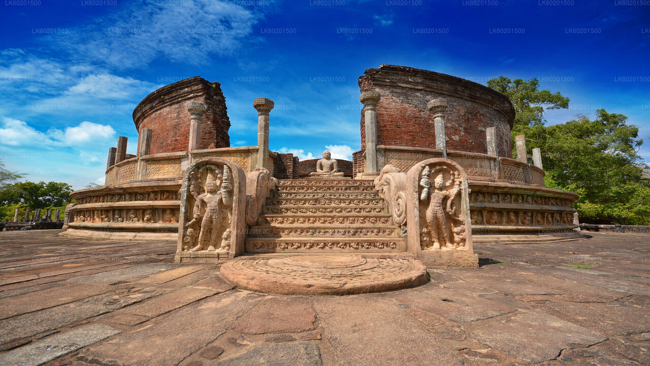Polonnaruwa Ancient Kingdom and Wild Elephant Safari from Trincomalee City