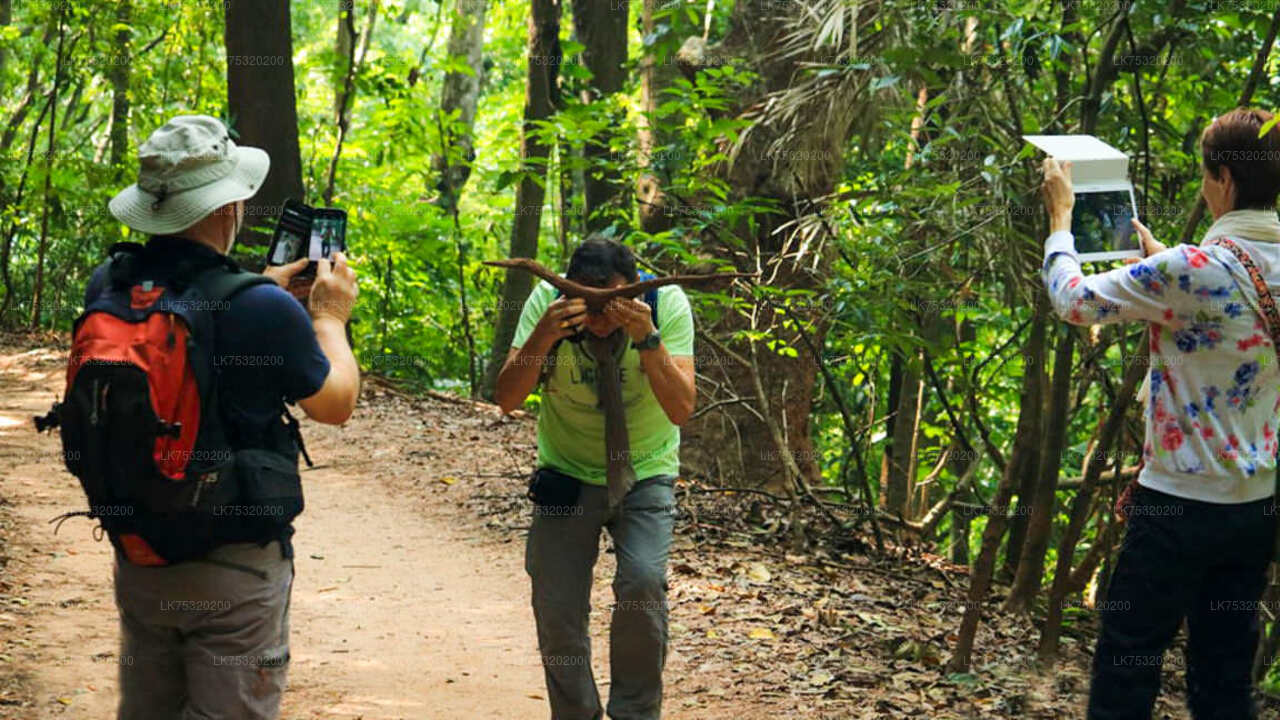 Birdwatching at Ritigala from Habarana City