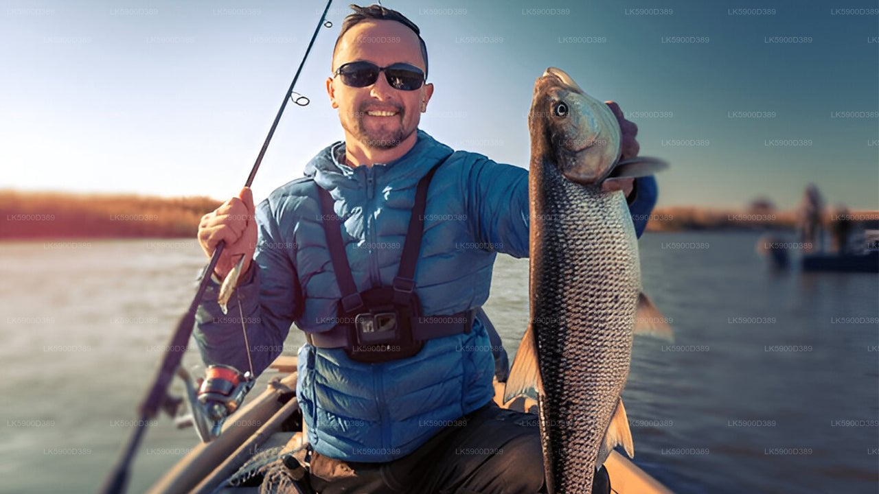 Deep Sea Fishing from Mirissa