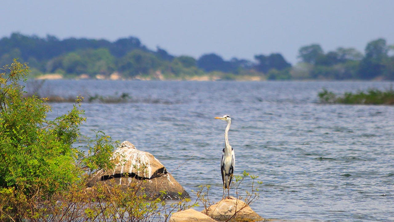 Gal Oya National Park Boat Safari