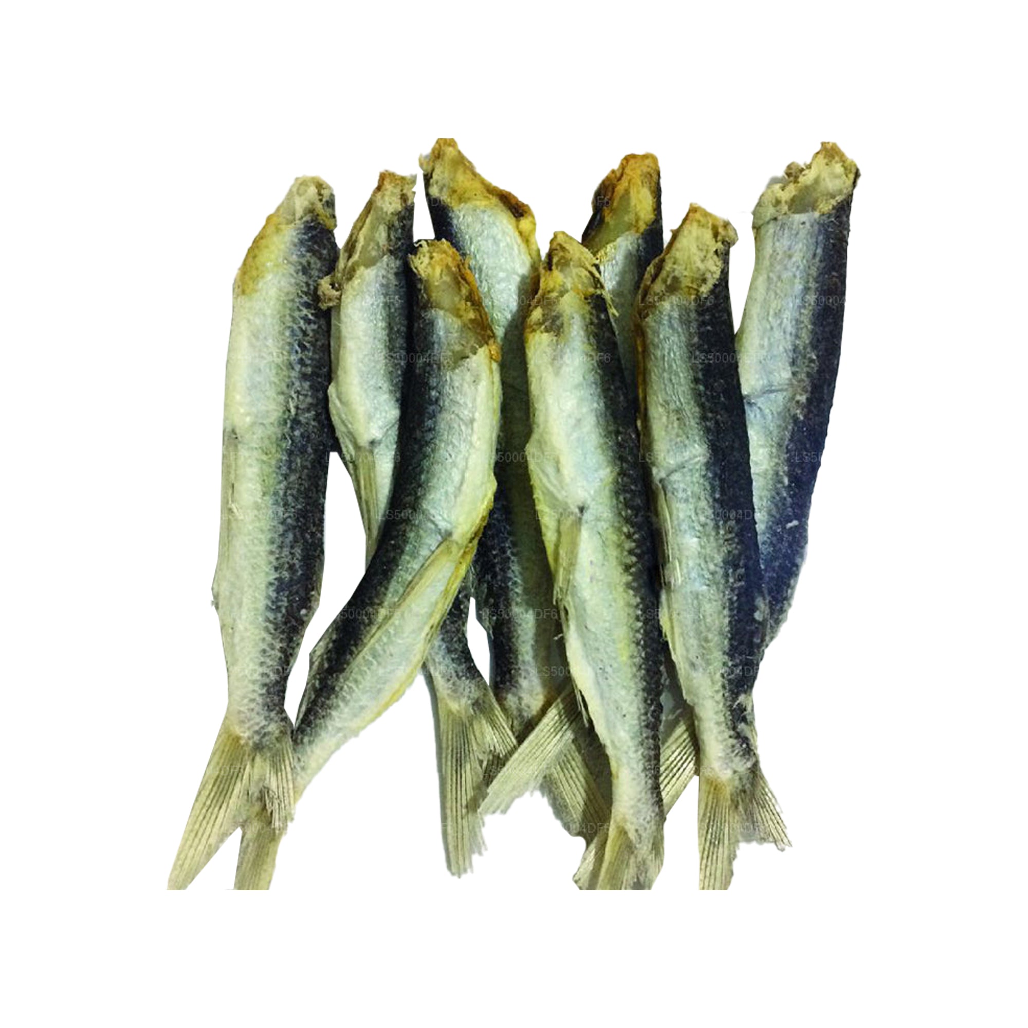 Lakpura® Dried Piyamasso (Flying Fish) 200g, Salted Dry Fish (Karawala)