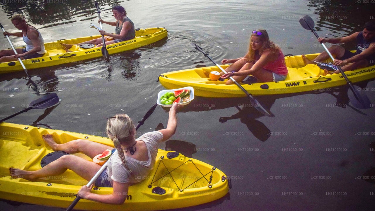 Kayaking from Bentota City
