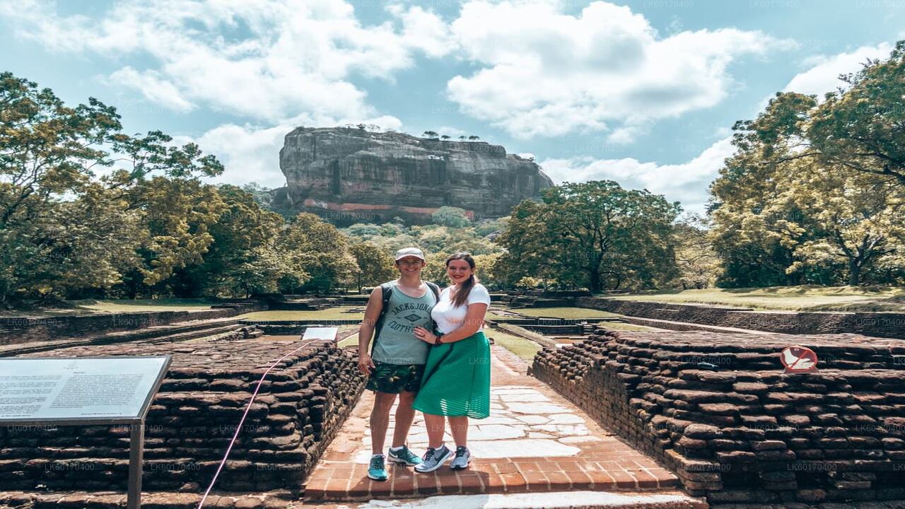 Sigiriya Rock and Wild Elephant Safari from Kandy City