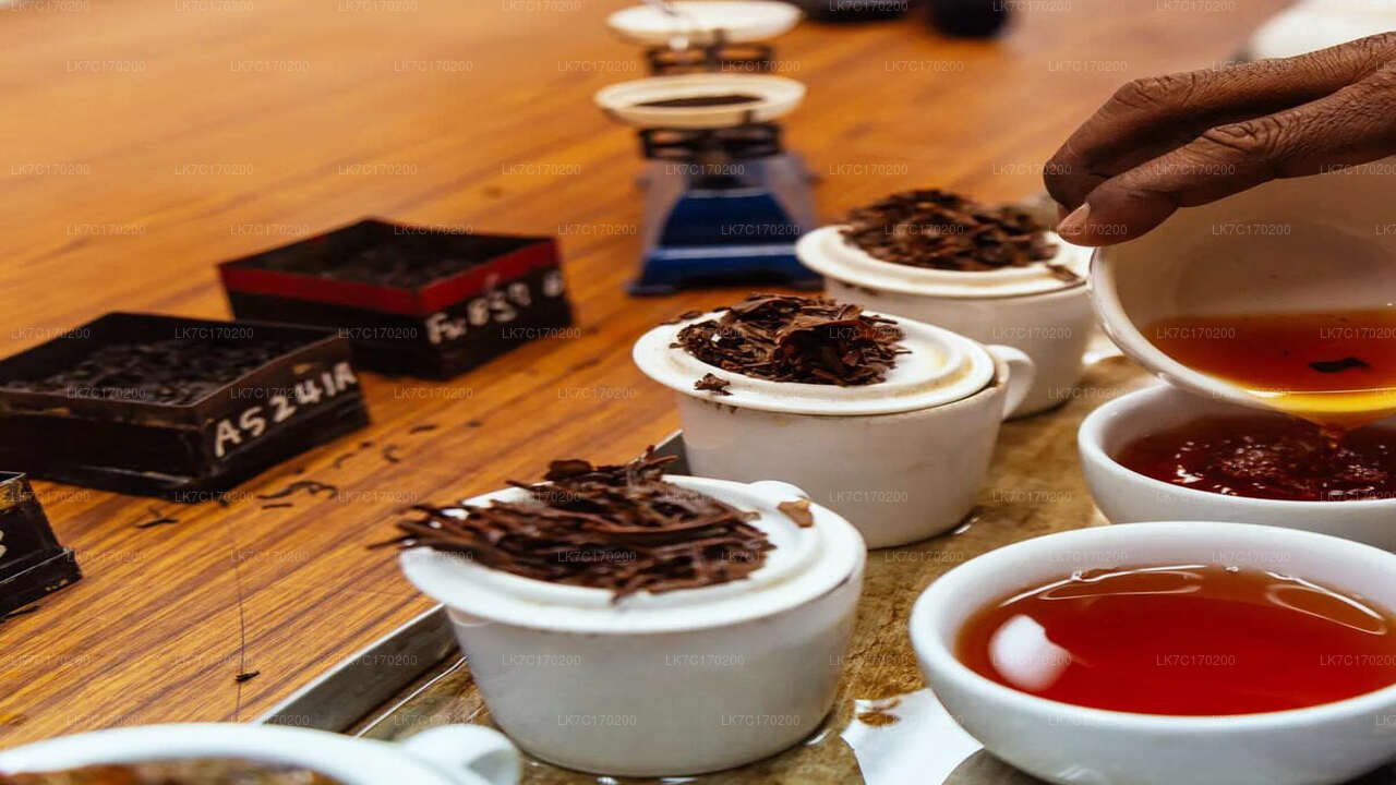 Ceylon Tea Tasting from Kandy City