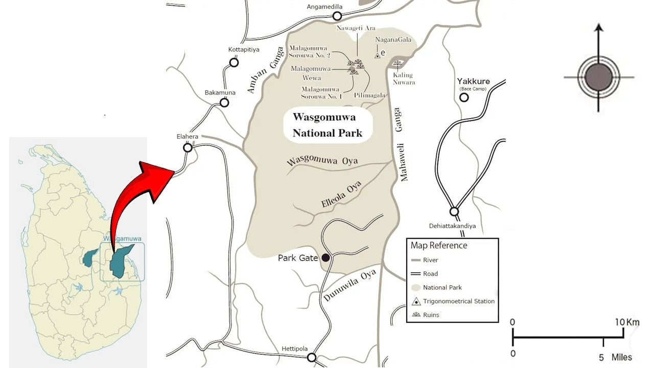 Wasgamuwa National Park Private Safari with Guide