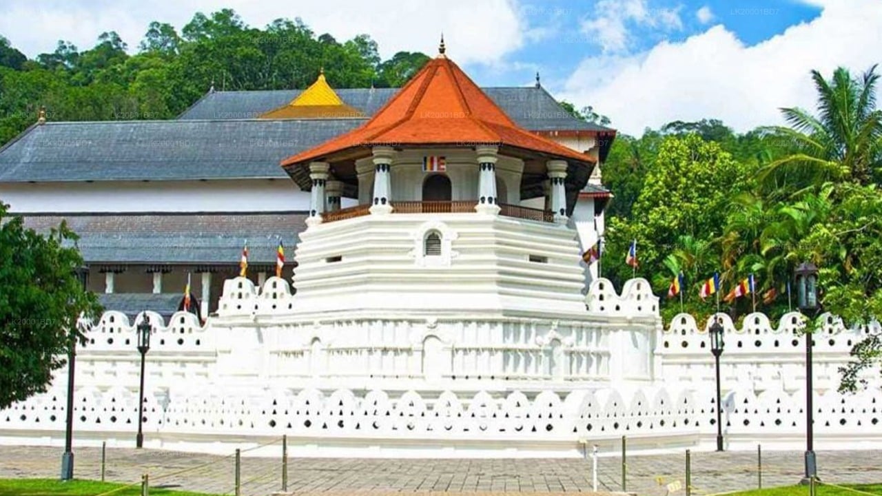 Temple of The Sacred Tooth Relic Guided Tour