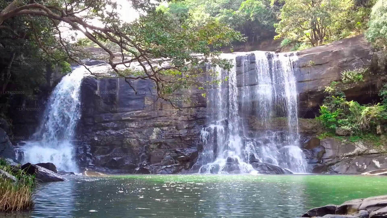 Waterfall Hunt Hiking Tour from Kandy City