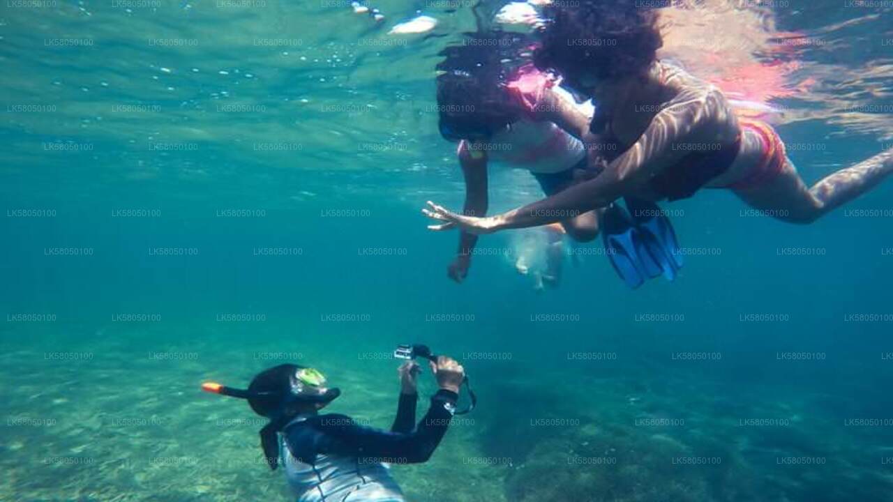 Snorkeling from Negombo City