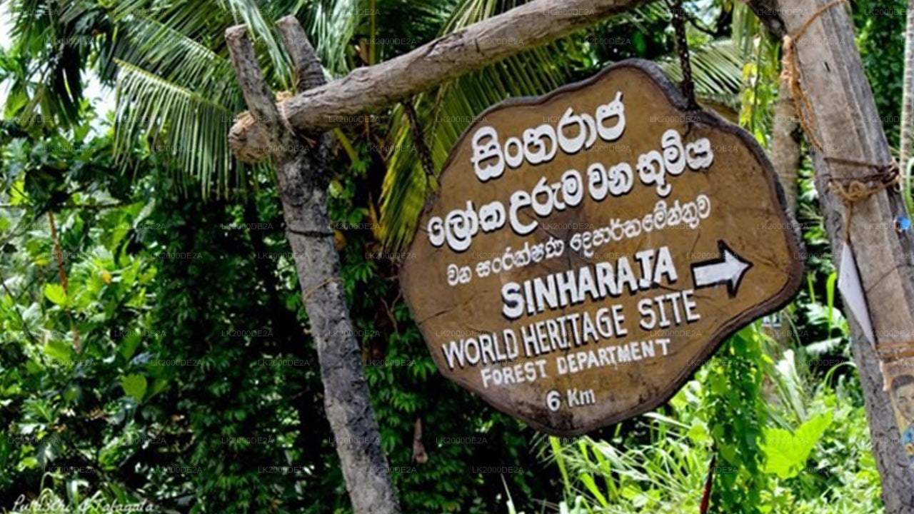 Sinharaja Forest Reserve Guided Tour with Entrance Tickets