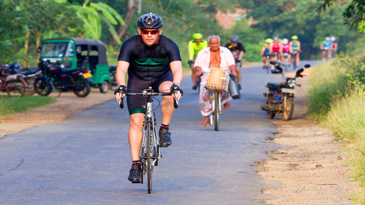 Dutch Footprints Cycling Tour from Colombo City