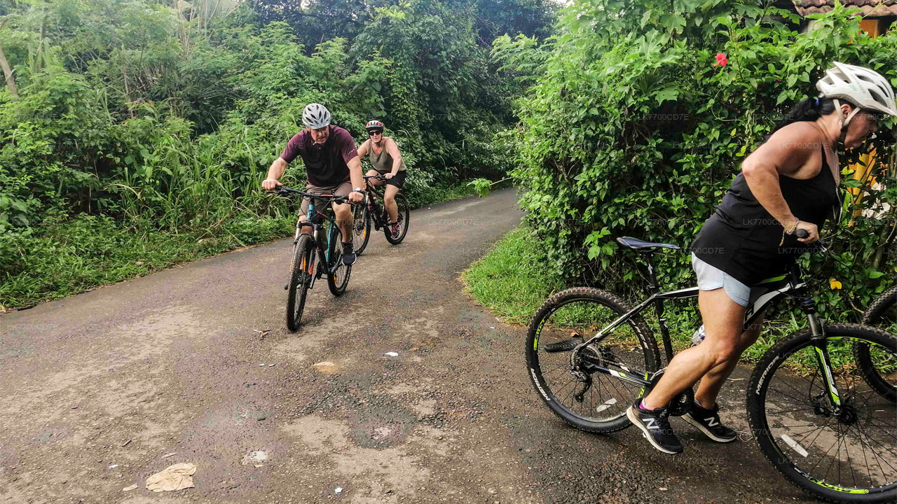 35 Km Mountain Bike Day Cycling Tour From Galle City