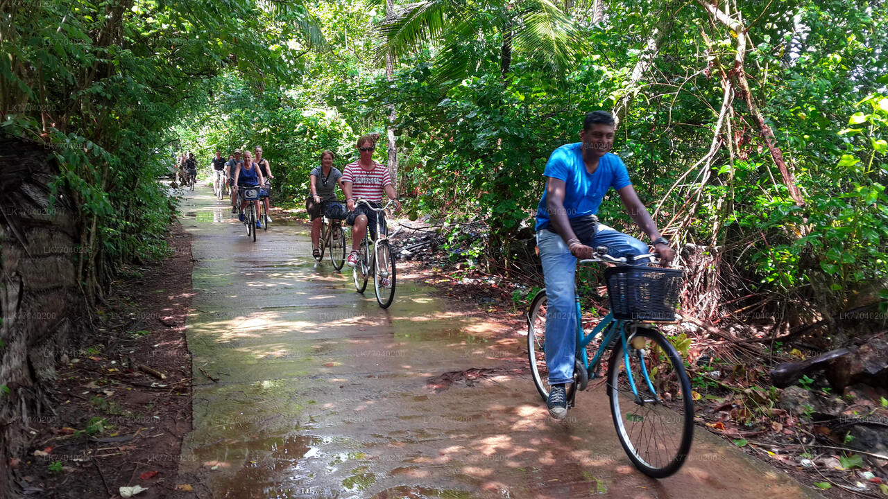 Countryside by Bicycle from Galle City