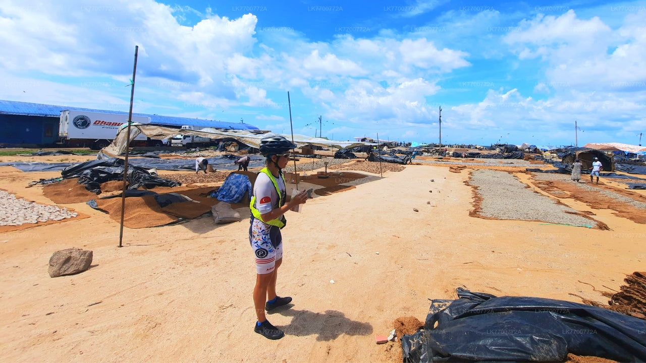 Fishing Village by Bicycle from Negombo City
