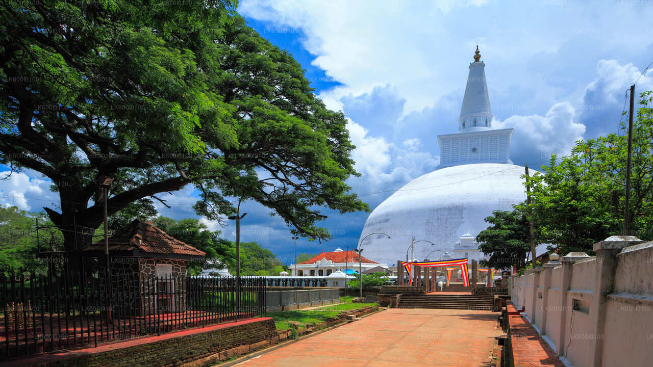 Sacred City of Anuradhapura from Dambulla City
