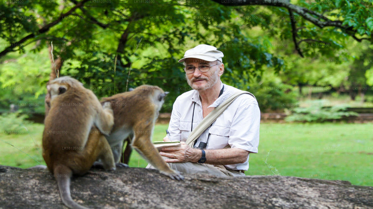 Explore the Monkey Kingdom from Polonnaruwa City