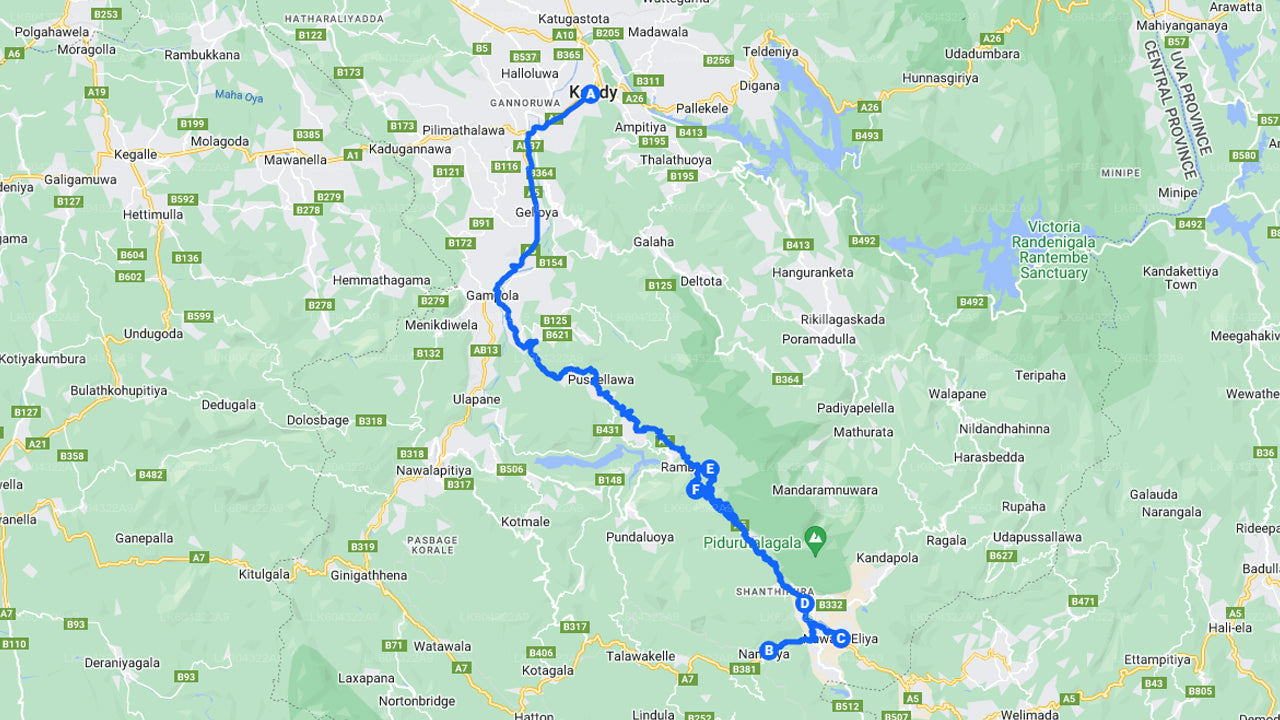 Scenic Train Ride to Nanu Oya from Kandy City