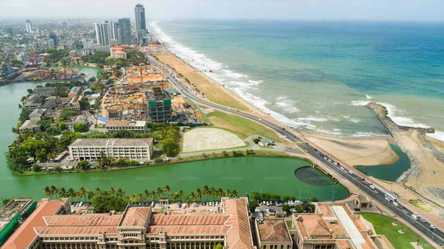 Coastal Transfer from Colombo to Mirissa with Sightseeing Stops
