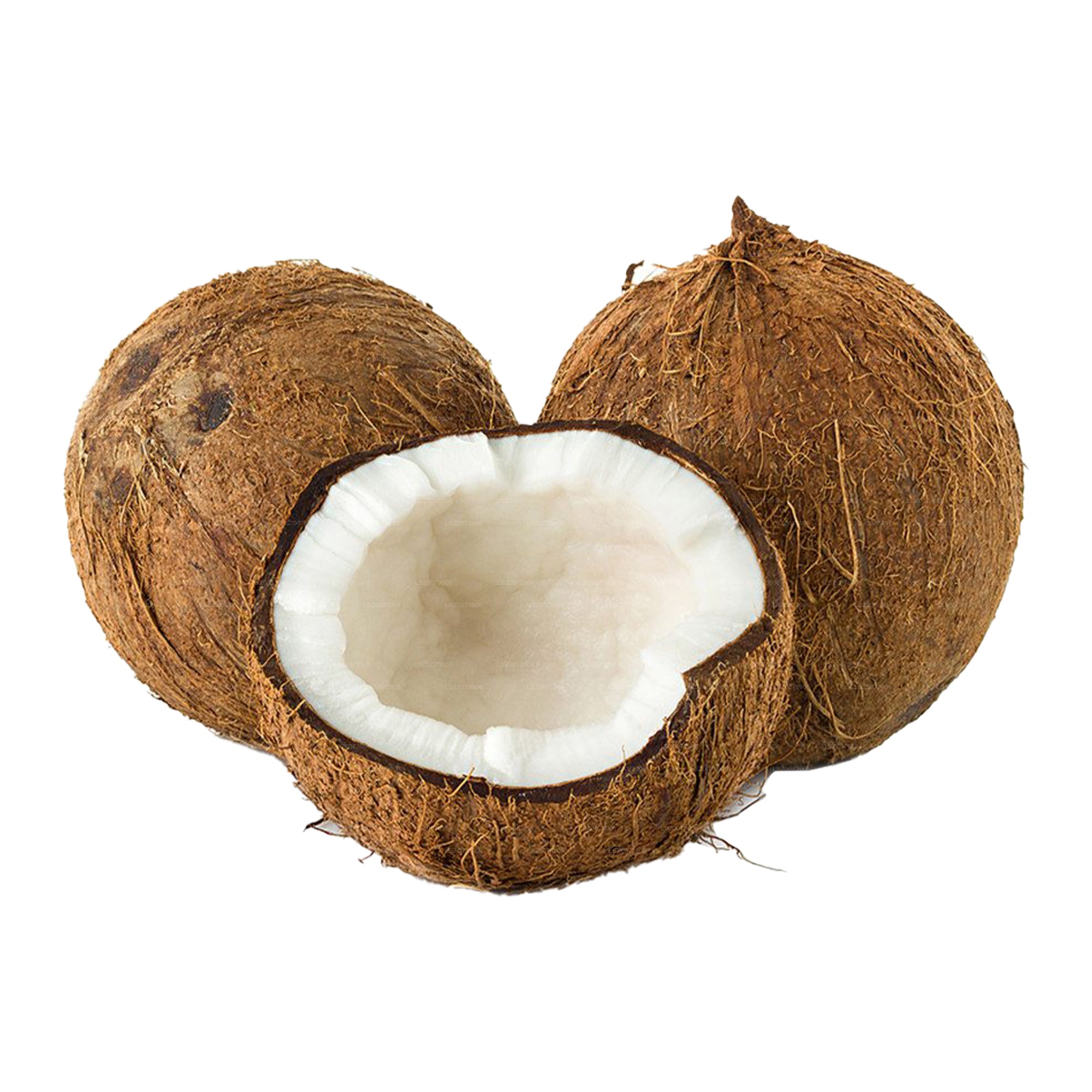 Coconut (පොල්)